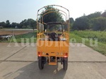      Bajaj Chetak 250 (TukTuk) 2008  8